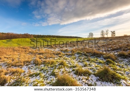 Similar – Image, Stock Photo Good morning forest