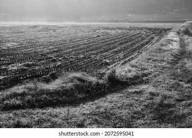 Early Winter Morning And Landscape Image