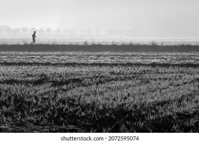 Early Winter Morning And Landscape Image