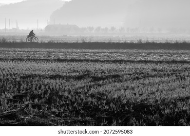 Early Winter Morning And Landscape Image