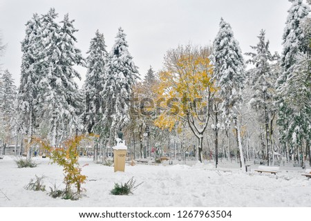Early winter over the park, trees sprinkled under the snow (Park Expozitiei, Iasi, Romania) - Image