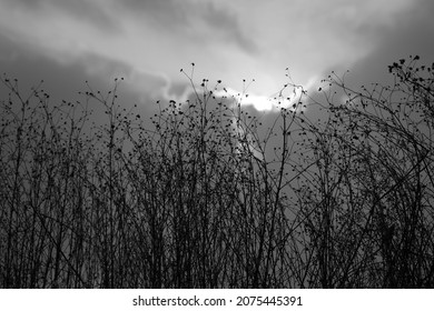 Early Winter Rural Morning Image