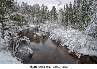 Early Winter Snow In Northern Michigan