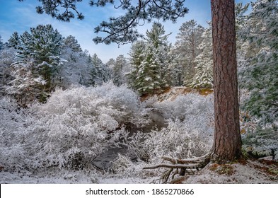 Early Winter Snow In Northern Michigan