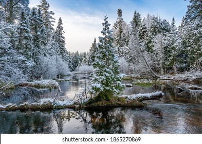 Early Winter Snow In Northern Michigan