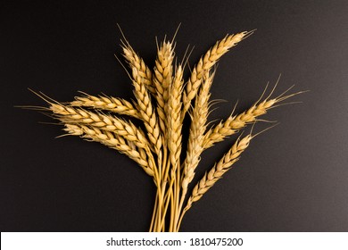 Ears of golden wheat in close- up on black background. Rich harvest Concept. Label art design - Powered by Shutterstock