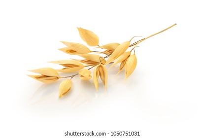 ears of oats close up - Shutterstock ID 1050751031