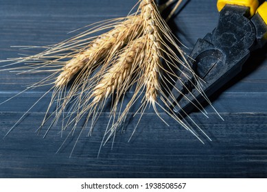 Ears Of Rye And Pliers On A Wooden Workbench. Agricultural Machinery Repair. Concept.