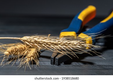 Ears Of Rye And Pliers On A Wooden Workbench. Agricultural Machinery Repair. Concept. Selective Focus.