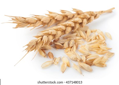 Wheat Husk Images Stock Photos Vectors Shutterstock