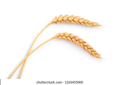 ears of wheat isolated on white background. Top view