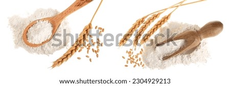 ears of wheat and pile of flour in wooden spoon isolated on white background. Top view. Flat lay