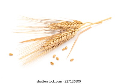 Ears Of Wheat And Seeds Isolated On White Background.