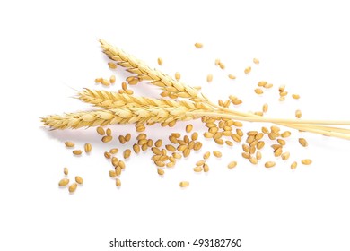 Ears Of Wheat And Seeds Isolated On White Background