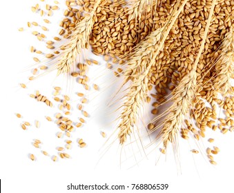 Ears Of Wheat And Seeds Isolated On White Background, Top View