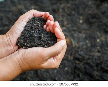 Eart Day, Save The Earth, Love Concept. The Woman Hand Holding A Soil On Ground Blur Background.