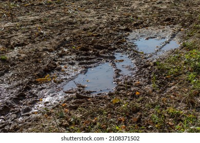 Earth After Rain And Puddle, Natural Rural Background Autumn Rainy Weather Puddles Of Slush And Mud