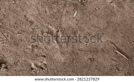 earth, coarse, sandy, surface, texture, crumbly, dirtied, dirt, gritty, rough, ground, material, pattern, background, brown, dry, natural, earthy, dusty, granular, rock, closeup, landscape, stone, detail, gardening, gravel, macro, uneven, agriculture, organic, sediment, fine, abstract, cracked, desert, dust, element, grainy, land, arid, design, erosion, field, geology, nature, particle, photo, sand, speckled