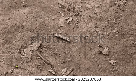 earth, coarse, sandy, surface, texture, crumbly, dirtied, dirt, gritty, rough, ground, material, pattern, background, brown, dry, natural, earthy, dusty, granular, rock, closeup, landscape, stone, detail, gardening, gravel, macro, uneven, agriculture, organic, sediment, fine, abstract, cracked, desert, dust, element, grainy, land, arid, design, erosion, field, geology, nature, particle, photo, sand, speckled