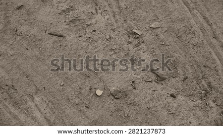 earth, coarse, sandy, surface, texture, crumbly, dirtied, dirt, gritty, rough, ground, material, pattern, background, brown, dry, natural, earthy, dusty, granular, rock, closeup, landscape, stone, detail, gardening, gravel, macro, uneven, agriculture, organic, sediment, fine, abstract, cracked, desert, dust, element, grainy, land, arid, design, erosion, field, geology, nature, particle, photo, sand, speckled