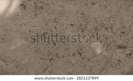earth, coarse, sandy, surface, texture, crumbly, dirtied, dirt, gritty, rough, ground, material, pattern, background, brown, dry, natural, earthy, dusty, granular, rock, closeup, landscape, stone, detail, gardening, gravel, macro, uneven, agriculture, organic, sediment, fine, abstract, cracked, desert, dust, element, grainy, land, arid, design, erosion, field, geology, nature, particle, photo, sand, speckled