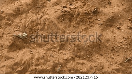 earth, coarse, sandy, surface, texture, crumbly, dirtied, dirt, gritty, rough, ground, material, pattern, background, brown, dry, natural, earthy, dusty, granular, rock, closeup, landscape, stone, detail, gardening, gravel, macro, uneven, agriculture, organic, sediment, fine, abstract, cracked, desert, dust, element, grainy, land, arid, design, erosion, field, geology, nature, particle, photo, sand, speckled