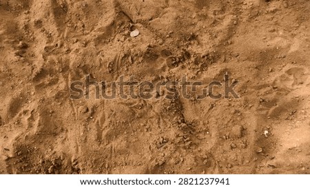earth, coarse, sandy, surface, texture, crumbly, dirtied, dirt, gritty, rough, ground, material, pattern, background, brown, dry, natural, earthy, dusty, granular, rock, closeup, landscape, stone, detail, gardening, gravel, macro, uneven, agriculture, organic, sediment, fine, abstract, cracked, desert, dust, element, grainy, land, arid, design, erosion, field, geology, nature, particle, photo, sand, speckled