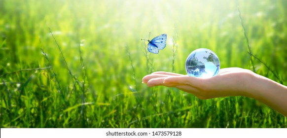 Earth crystal glass globe ball in human hand, flying butterfly with blue wings, fresh juicy grass background. Saving environment, save clean green planet, ecology concept. Card for World Earth Day.