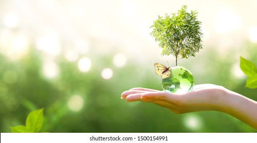 Aarde kristalglazen bolbol bol en groeiende boom in menselijke hand, vliegende gele vlinder op groene zonnige achtergrond. Milieu besparen, schone planeet redden, ecologisch concept. Kaart voor Wereld Dag van de Aarde.