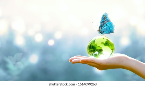 Earth crystal glass globe ball in human hand, sitting butterfly with blue wings on blurred background. Saving environment, save clean green planet, ecology concept. Card for World Earth Day.