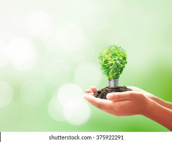 Earth Day Concept: Developer Hand Holding Light Bulb Of Growth Tree On Blurred Green Nature Background