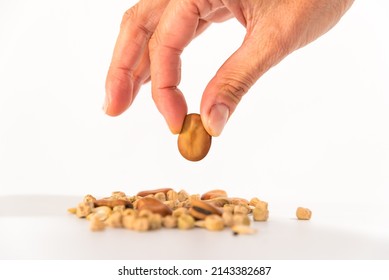 Earth Day Concept, Space For Copy, Woman's Hands, Holding A Broad Bean Seed, To Plant In Mother Earth