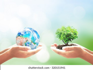 Earth Day concept: Two human hands holding earth globe and heart shape of tree over blurred green nature background. Elements of this image furnished by NASA - Powered by Shutterstock