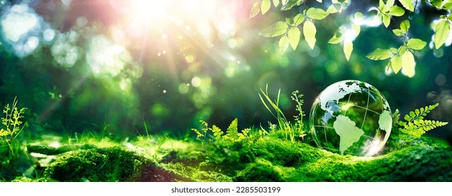 Earth Day - Environment - Green Globe In Forest With Moss And Defocused Abstract Sunlight - Shutterstock ID 2285503199