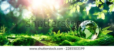 Earth Day - Environment - Green Globe In Forest With Moss And Defocused Abstract Sunlight Foto stock © 