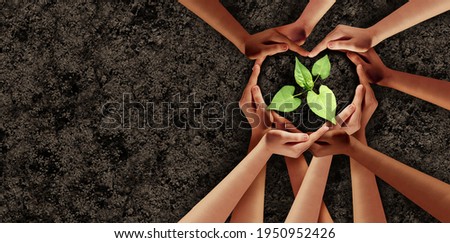 Earth day love and agriculture support or ecology unity as heart hands in a group of people connected together helping protect a seedling expressing the feeling of teamwork and togetherness.