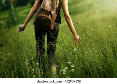 earth day. woman traveler walking among grass in meadow and holding in hand gathering wildflowers in mountains in sunlight, back view,  space for text
