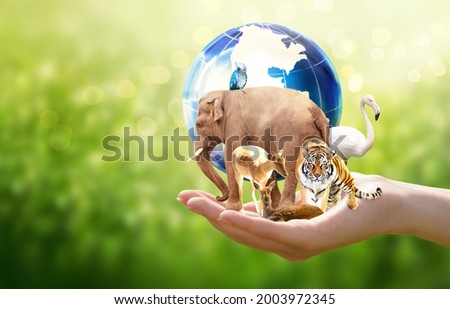 Earth Day or World Animal Day concept. Save planet, protect wildlife nature reserve, protection of endangered species, biological diversity. Elephant, tiger, deer, parrot, flamingo with globe in hand.