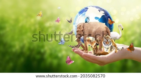 Earth Day or World Animal Day concept. Save our planet, protect wild nature and endangered species, biological diversity theme. Elephant, tiger, deer, parrot, flamingo and butterfly with globe in hand