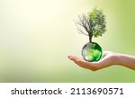 Earth Day or World Environment Day, Combat Desertification and Drought concept. Climate change and global warming theme. Save our Planet, protect green nature. Live and dry tree on globe in hand.