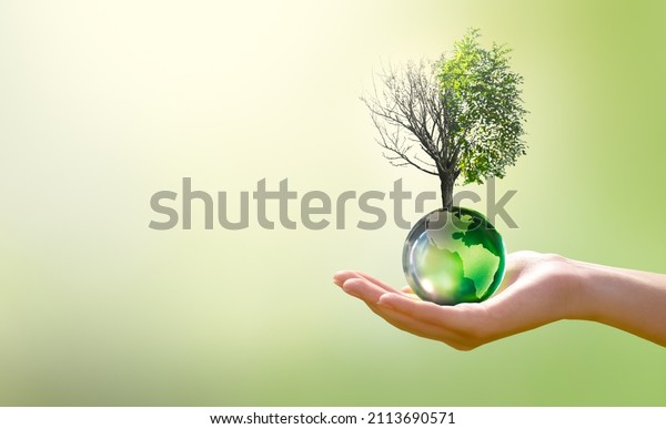 Earth Day or World Environment Day, Combat\
Desertification and Drought concept. Climate change and global\
warming theme. Save our Planet, protect green nature. Live and dry\
tree on globe in hand.
