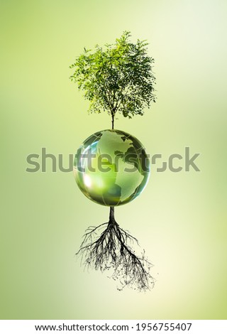 Earth Day or World Environment Day concept. Save our Planet and forest, restore and protect Green Nature, global warming and Climate change theme. Live and dry tree on glass globe, choosing future.