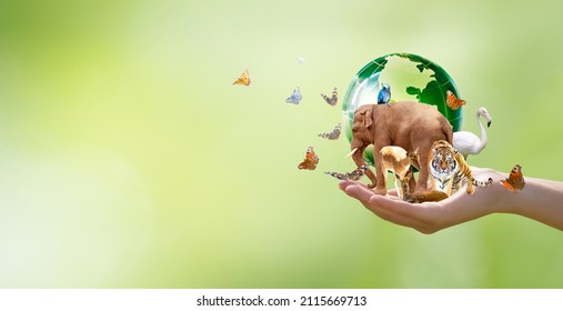 Earth Day or World Wildlife Day concept. Save our planet, protect green nature and endangered species, biological diversity theme. Group of wild animals and flock of butterflies with globe in hand.