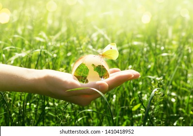 Earth glass globe and butterfly with yellow wings in human hand on green grass background. Saving environment concept. - Shutterstock ID 1410418952