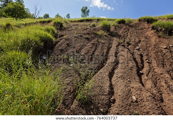 earth and grass on the landslide, note shallow\
depth of field