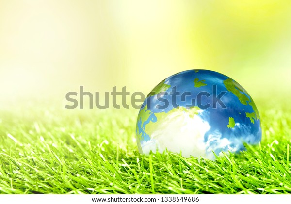 Earth Planet On Green Grass Green Stock Photo (Edit Now) 1338549686