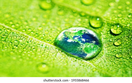 Earth reflextion in Water Drop on Green Grass with Green Natural Blur Background, Save World and Water concept, Elements of this image furnished by NASA