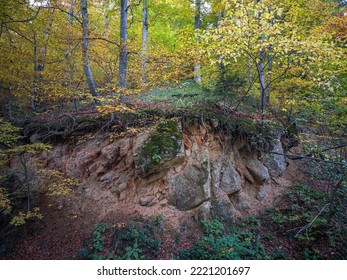 earth and rock formations landslide in the forest - Shutterstock ID 2221201697