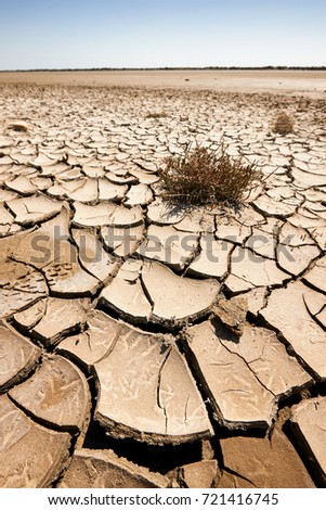 Similar – Image, Stock Photo lone fighters Success