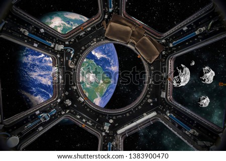 View through milky glass into a backyard
